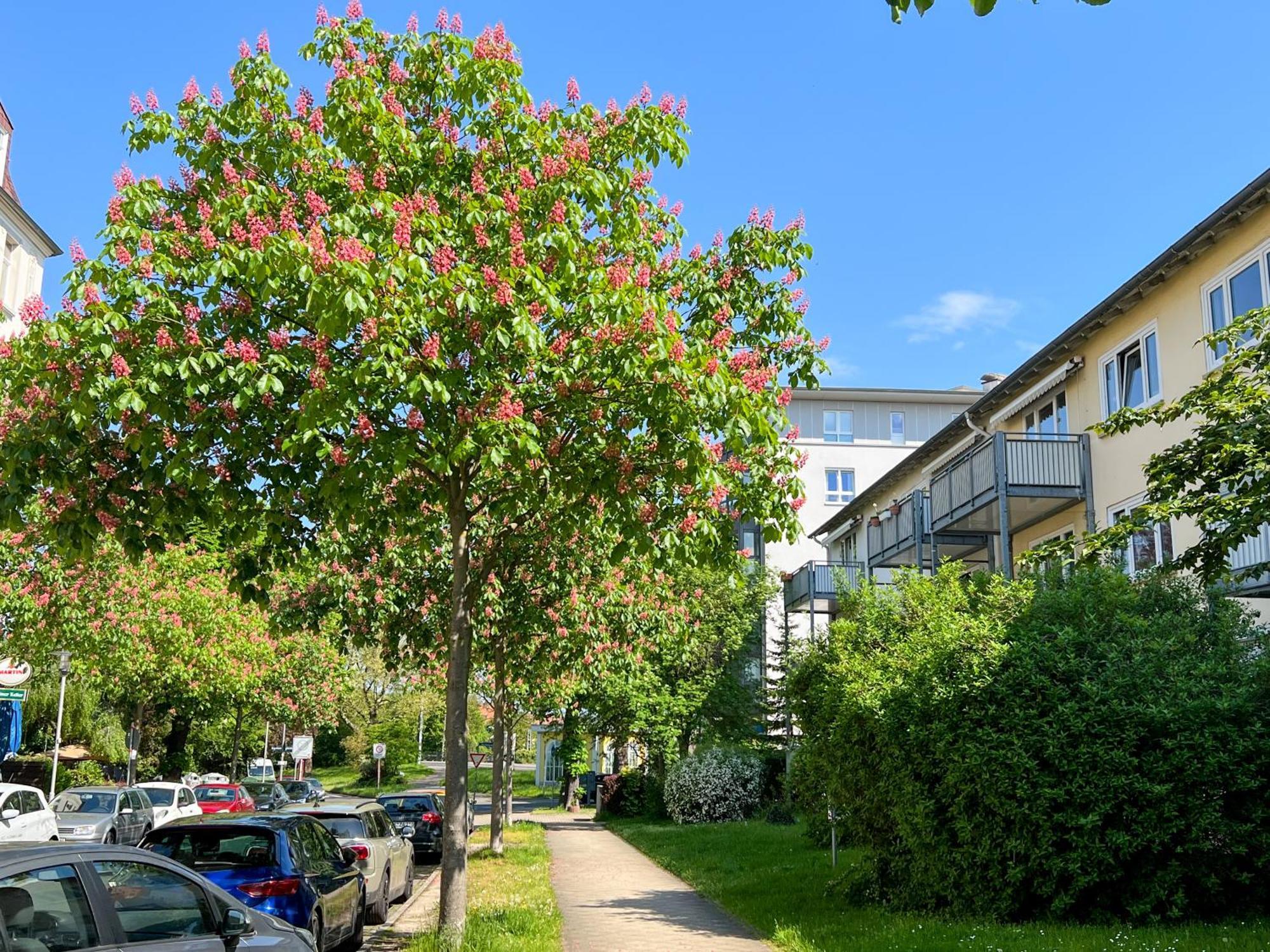 New-York Appartment, 2 Zimmer, Zentral Naehe Bahnhof Wilhelmshoehe Kassel Exteriör bild
